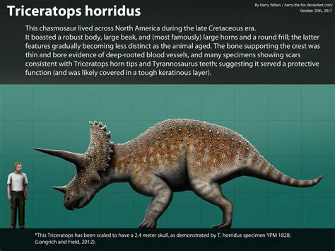 Pentaceratops Vs Triceratops Size Bmp Toethumb