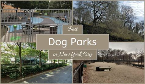 Bark On Point Unleashing New York Citys Top 8 Dog Parks
