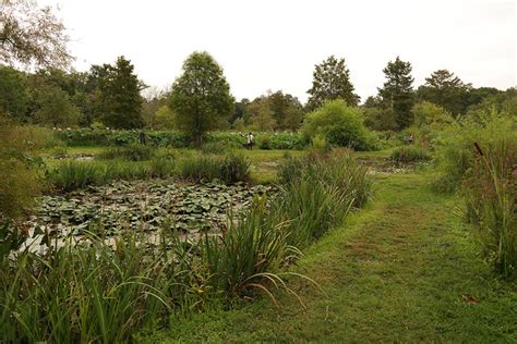Kenilworth Park And Aquatic Gardens Icprb