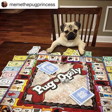 Were Ringing In The New Year With Memethepugprincess And A Game Of