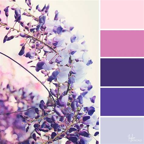 Taylor Kincaid Color Palettes Lavendar Color Palette Lavender