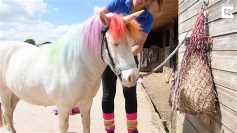 Woman Dyes Ponys Hair To Make It Look Like A Unicorn