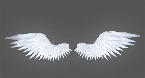 Angel Wings 3d Modeller In Anatomi 3dexport