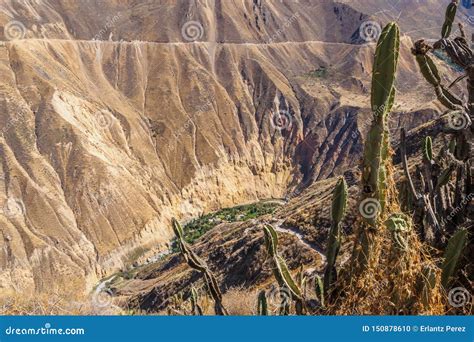 Colca Canyon From Cabanaconde In Peru Stock Photo Image Of Extreme