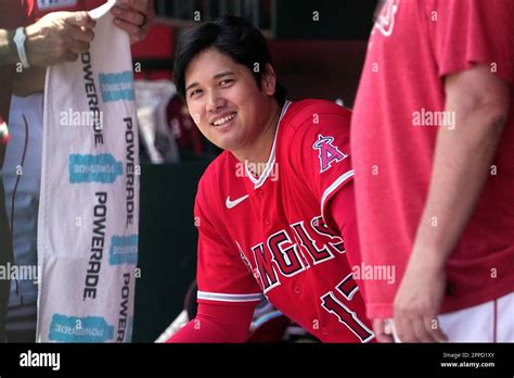 Los Angeles Angels Shohei Ohtani Smiles In The Dugout Prior To A