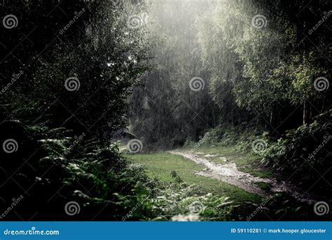Rain Storm Heavy Downpour Outdoors Whilst Walking Stock Image Image