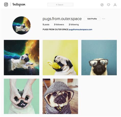 Pugs From Outer Space
