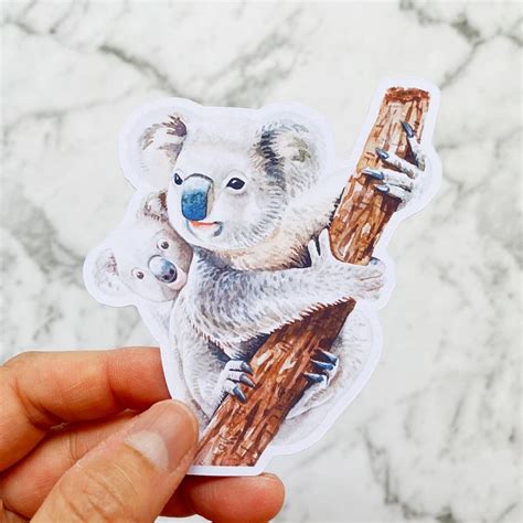 Koala Bears Die Cut Stickers Koala Bear Stickers Etsy