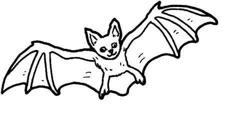 Bat Coloring Pages - Kidsuki