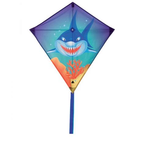 Vente de cerfsvolants en TarnetGaronne