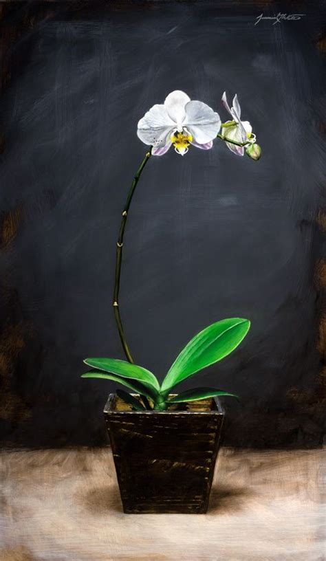 A Still Life Painting Of A Tall Orchid With White Flowers In A