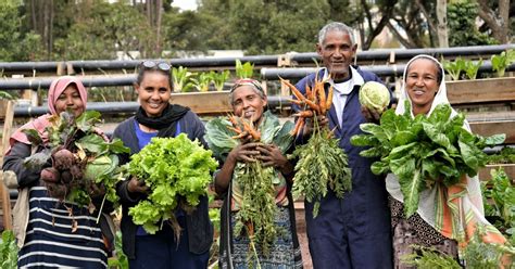 Urban Agriculture Farm Africa