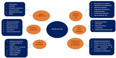 Casos con especificidades propias, con un valor en sí mismos. El portal de la tesis
