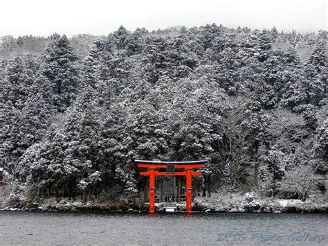 Tokyo Winter Itinerary A 3 Day Guide Tokyo Cheapo Day Trips From