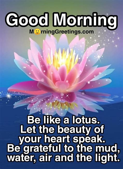 15 Most Beautiful Morning With Lotus Morning Greetings Morning