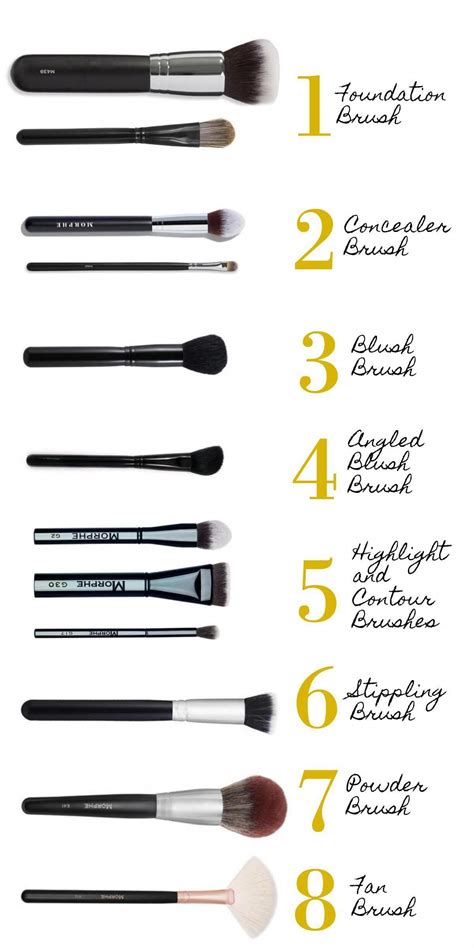 Eye Makeup Brushes Guide Yoiki Guide