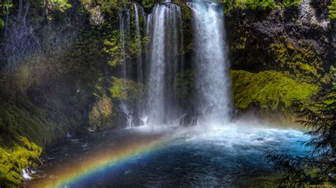 Скачать обои природа радуга водопад река лес из раздела Природа в
