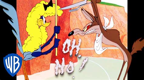 Looney Tunes Beep Beep💥 Classic Cartoon Wb Kids Youtube