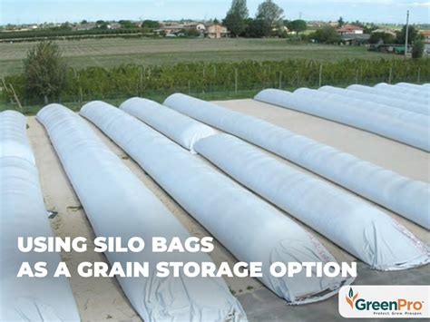 Using Silo Bags As A Grain Storage Option Greenpro