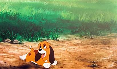 Hound Fox Copper Disney Tod Dog Gifs