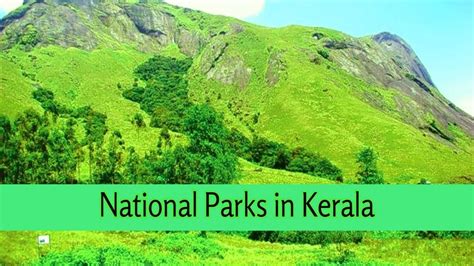 National Parks In Kerala Youtube
