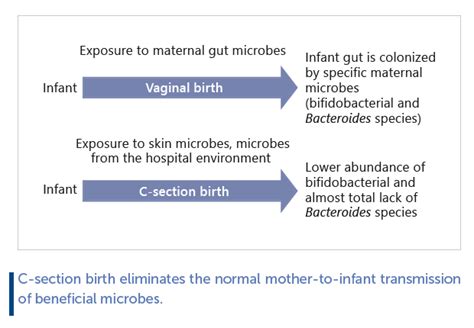 Impact Of Delivery Mode On Infant Gut Microbiota