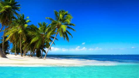 Hawaii Tropical Beach Wallpaper For Android Apk Download
