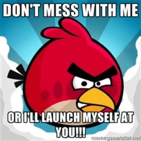Top 20 Most Funny Angry Birds Memes And Jokes Hilarious Funny