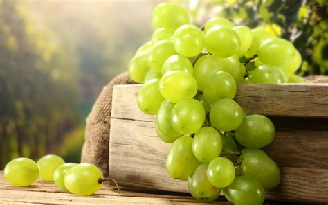 Green Grapes 2 Wallpaper Photography Wallpapers 46696