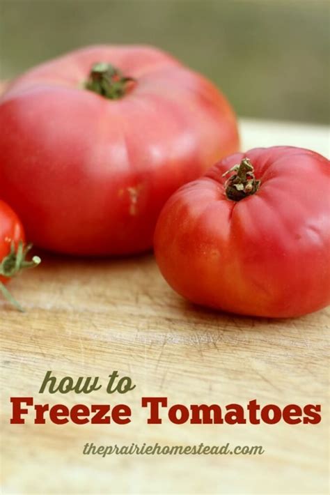 How To Freeze Tomatoes Canning Food Preservation Preserving Food