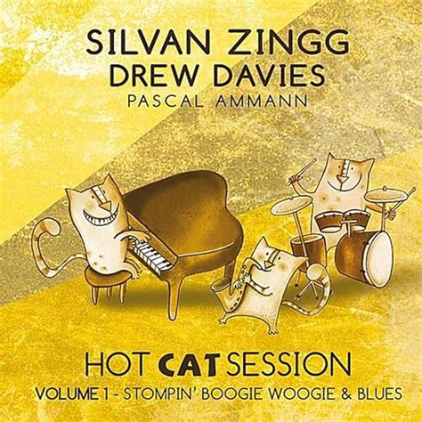 Hot Cat Session Vol 1 Stompin Boogie Woogie And Blues By Silvan Zingg And Drew Davies On Amazon