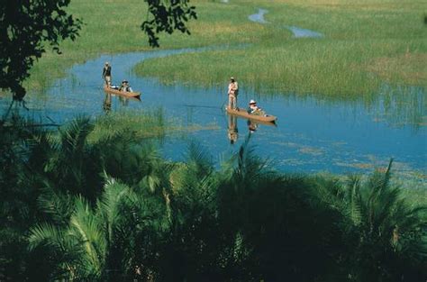 Botswana Safari Okavango Delta Flooding Botswana Seasons Guide