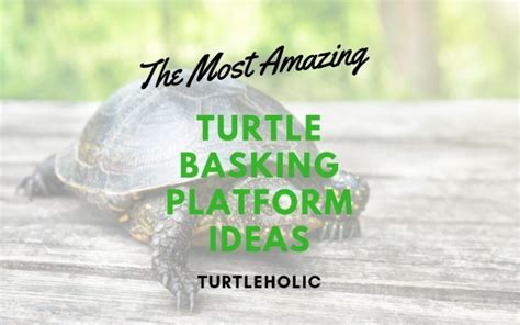 This is because they are light and they can float. Diy Floating Turtle Dock For Ponds - About Dock Photos ...