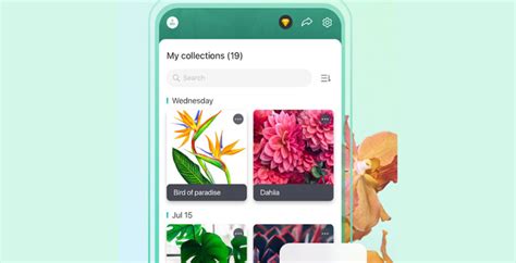 Plantnet plant identification app has a database spanning over 20,000 species. 10 best plant apps and flower identification apps for Android