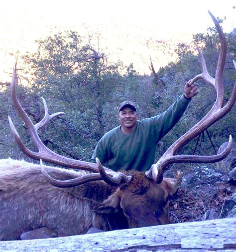 Unit 1 Elk Hunting In Arizona Thedraw