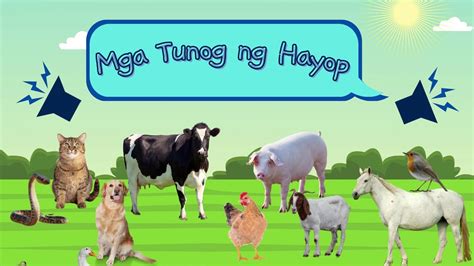 Mga Tunog Ng Hayop Tagalog Youtube
