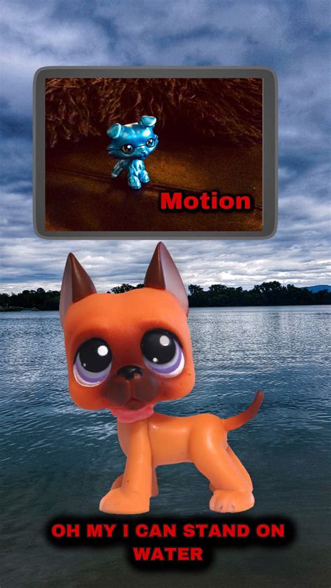Funny Lps Memes I Made Lps Amino