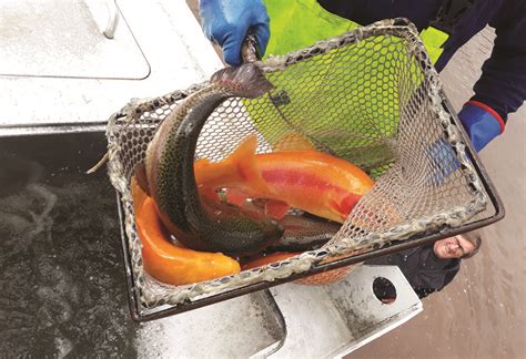 Pennsylvania Fish And Boat Commission Makes Minor Changes To Its Stocked