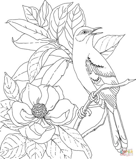Mockingbird And Magnolia Mississippi State Bird And Flower Coloring