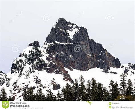 Snow At Mount Rainier National Park In Winter Stock Photo