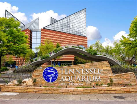 Tennessee Aquarium Chattanooga Infos Preise Und Mehr Adac Maps