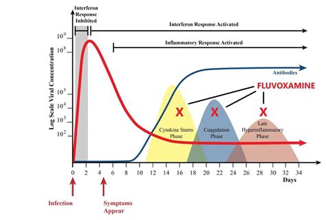 Six Ways Fluvoxamine May Act To Prevent Severe Covid 19 Access