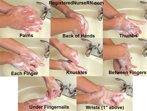 Comment Effectuer l Hygiène des Mains avec de l Eau et du Savon HB