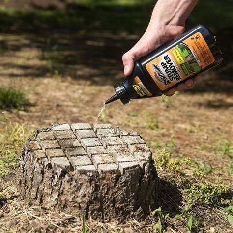 8 Best Tree Stump Killer Reviews Remove Tree Stumps With Little