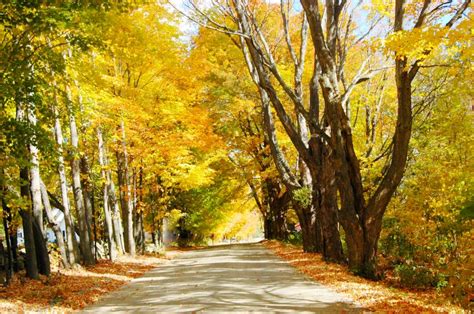 Roads Of Vermont Shutterbug