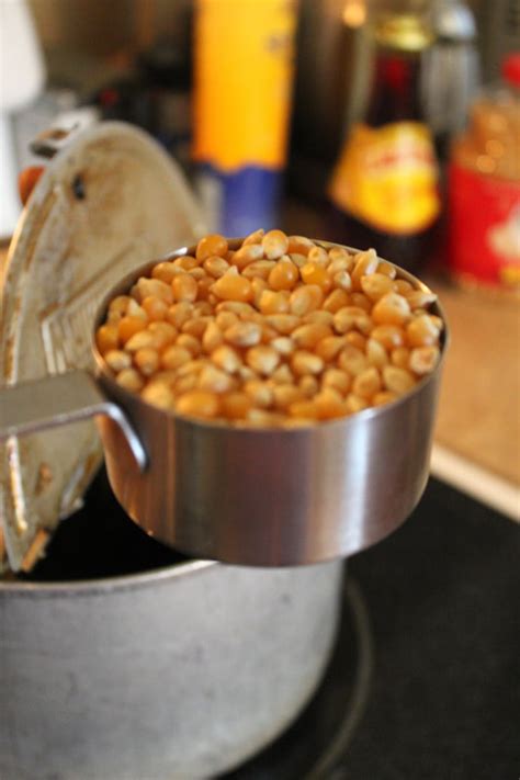 Malaysian palm oil wildlife conservation fund (mpowcf). homemade popcorn with Malaysian Red Palm Oil - HomeEc@Home