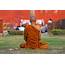 Buddhist Monk At Lumbini In Nepal Photograph By Robert Preston