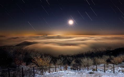 Nature Landscape Moon Moonlight Winter Shrubs Starry Night Snow