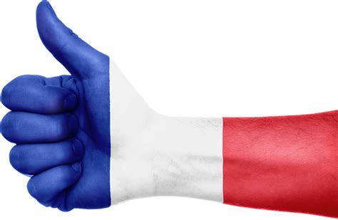 Download France Flag Hand Royalty Free Stock Illustration Image Pixabay