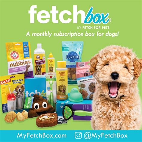 Fetchbox The Monthly Subscription Box For Dogs Curated By Fetch For